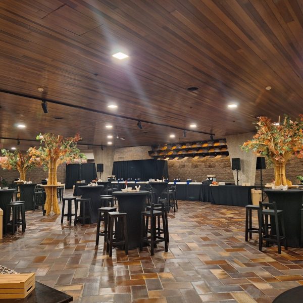 Montaje área del encuentro